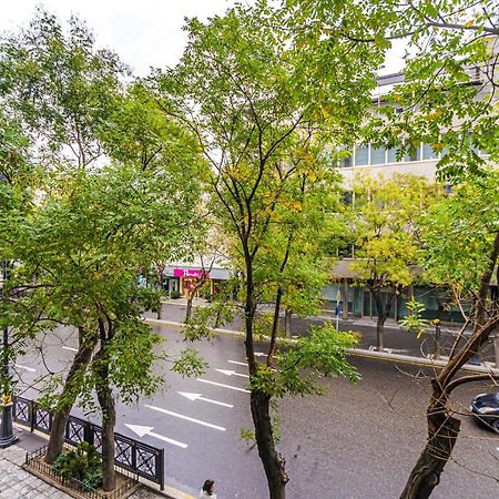 Vip Apartamen Nizami Street Apartment Baku Exterior photo