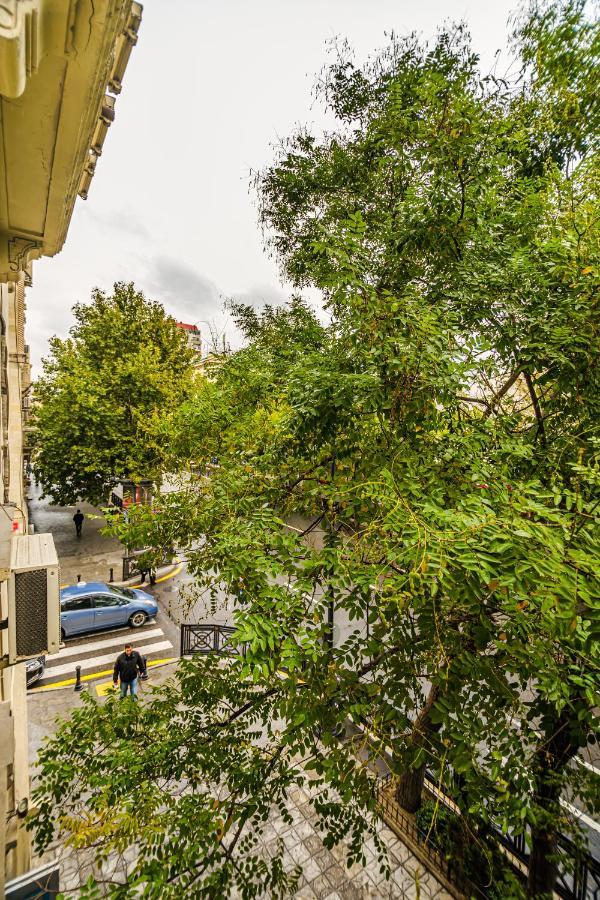Vip Apartamen Nizami Street Apartment Baku Exterior photo